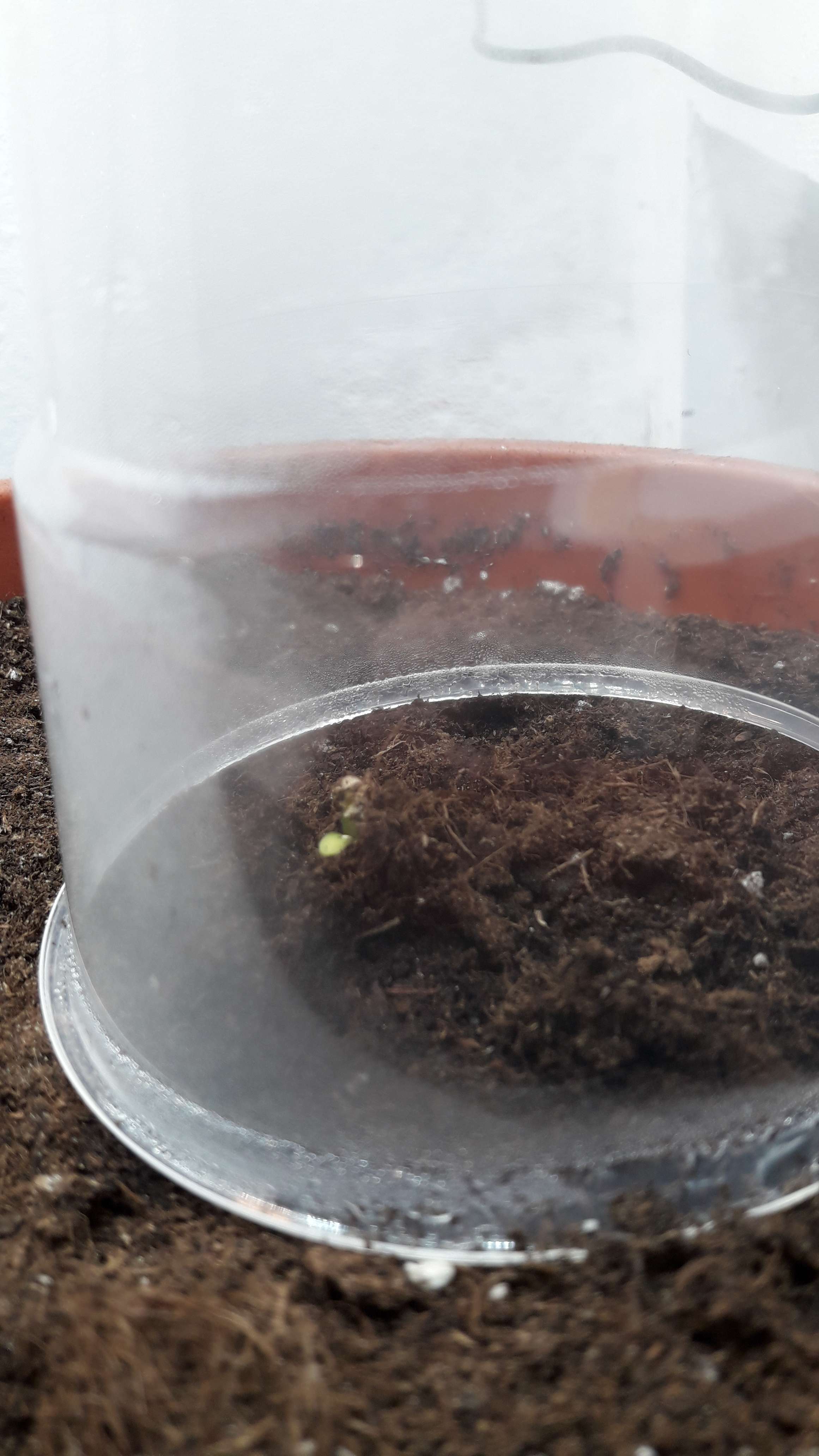 1611566371996.jpg