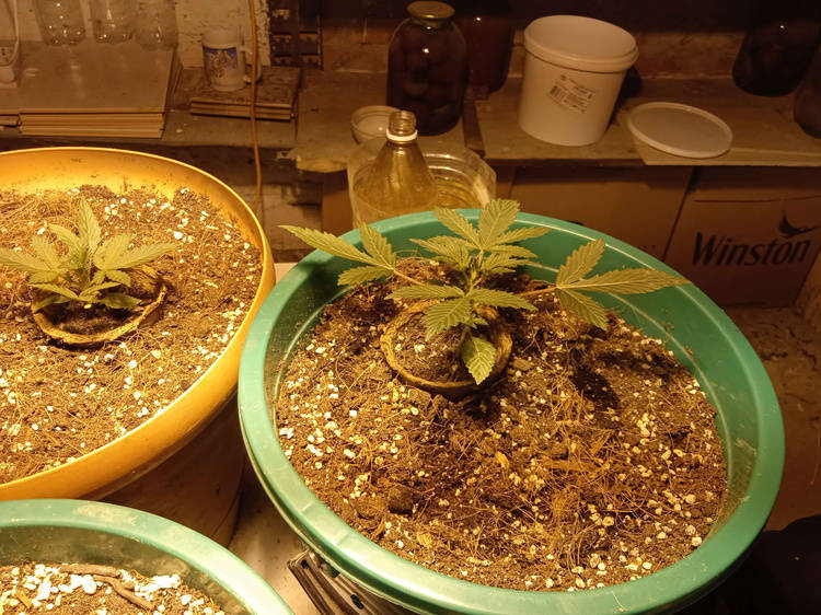 1612109173557.jpg