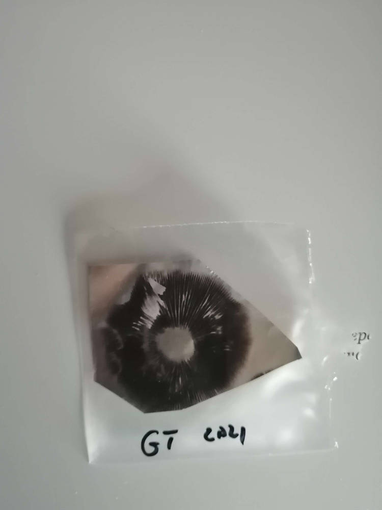 1612171995873.jpg