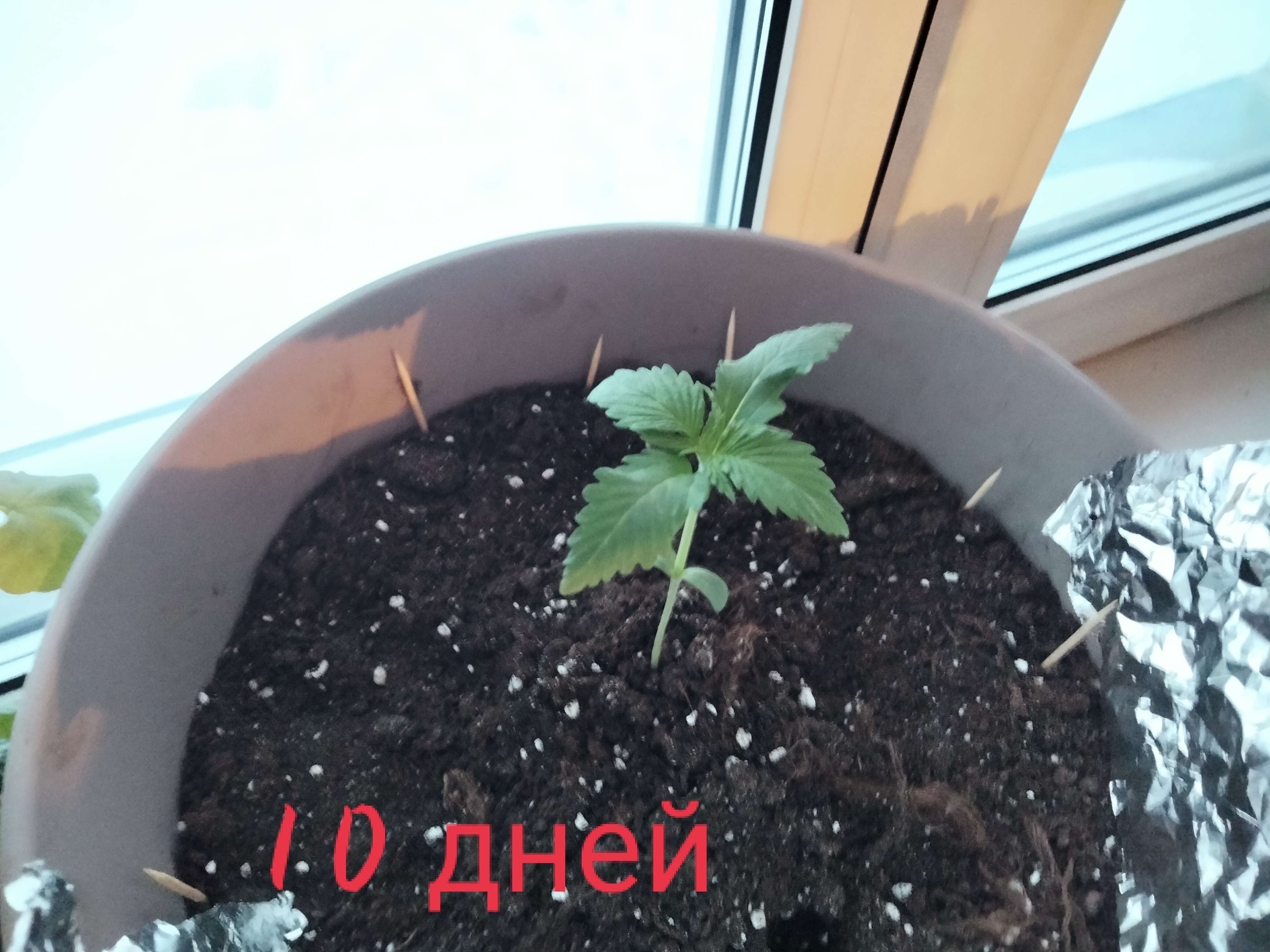 1616693948719.jpg