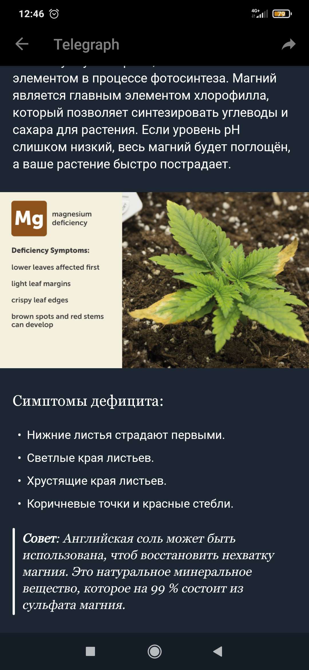 1619616213070.jpg