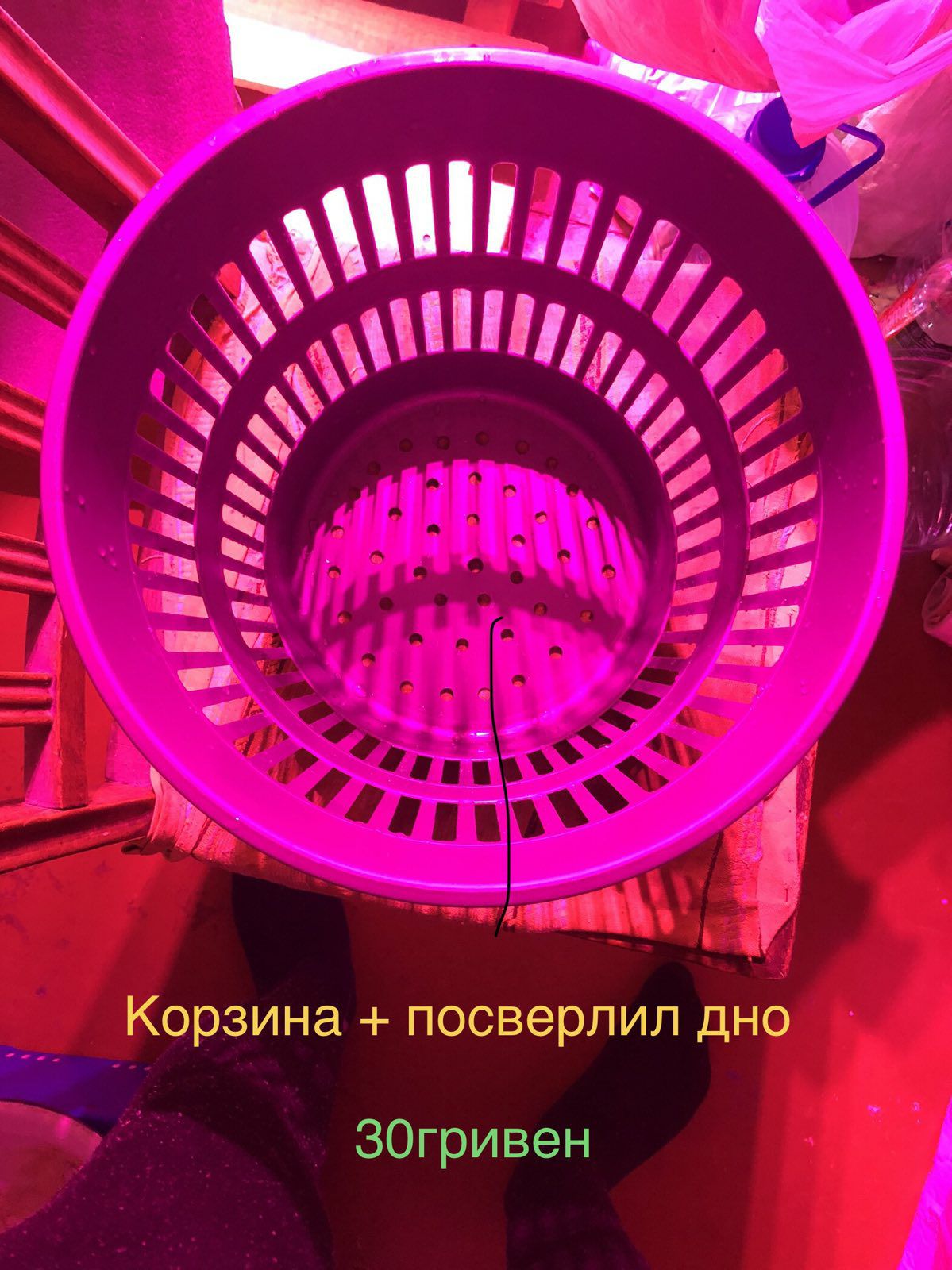 1621523546852.jpg