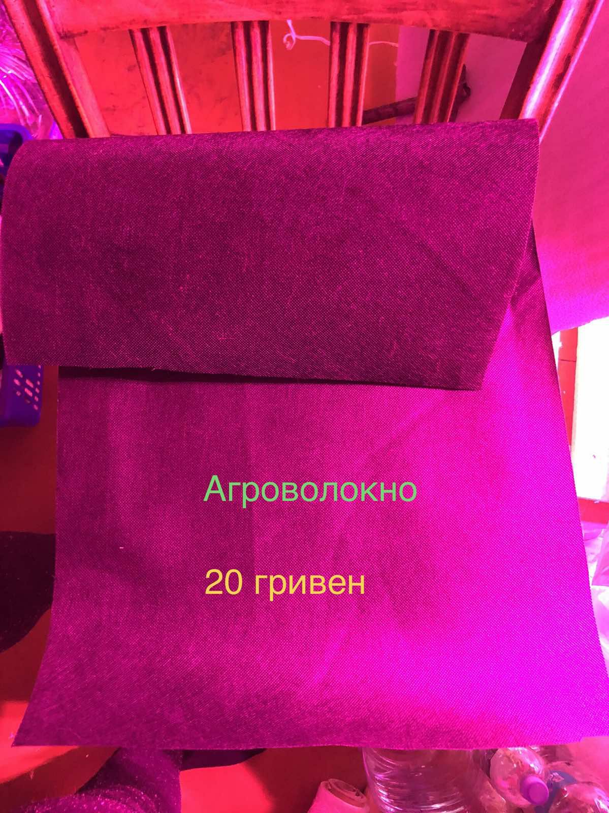 1621523576245.jpg