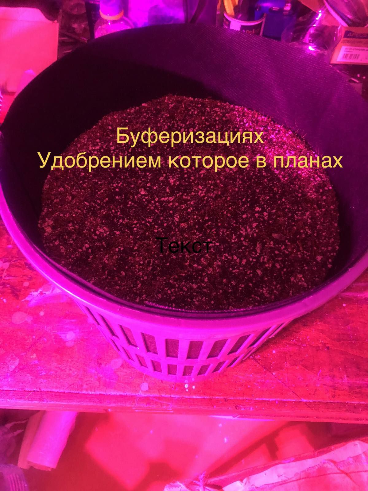 1621523606519.jpg