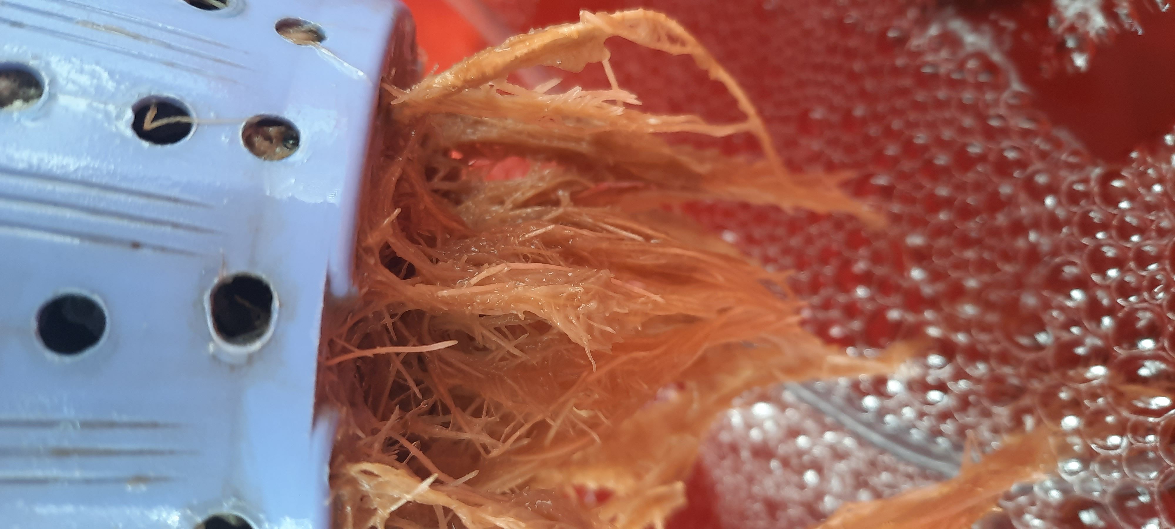 1622212686499.jpg