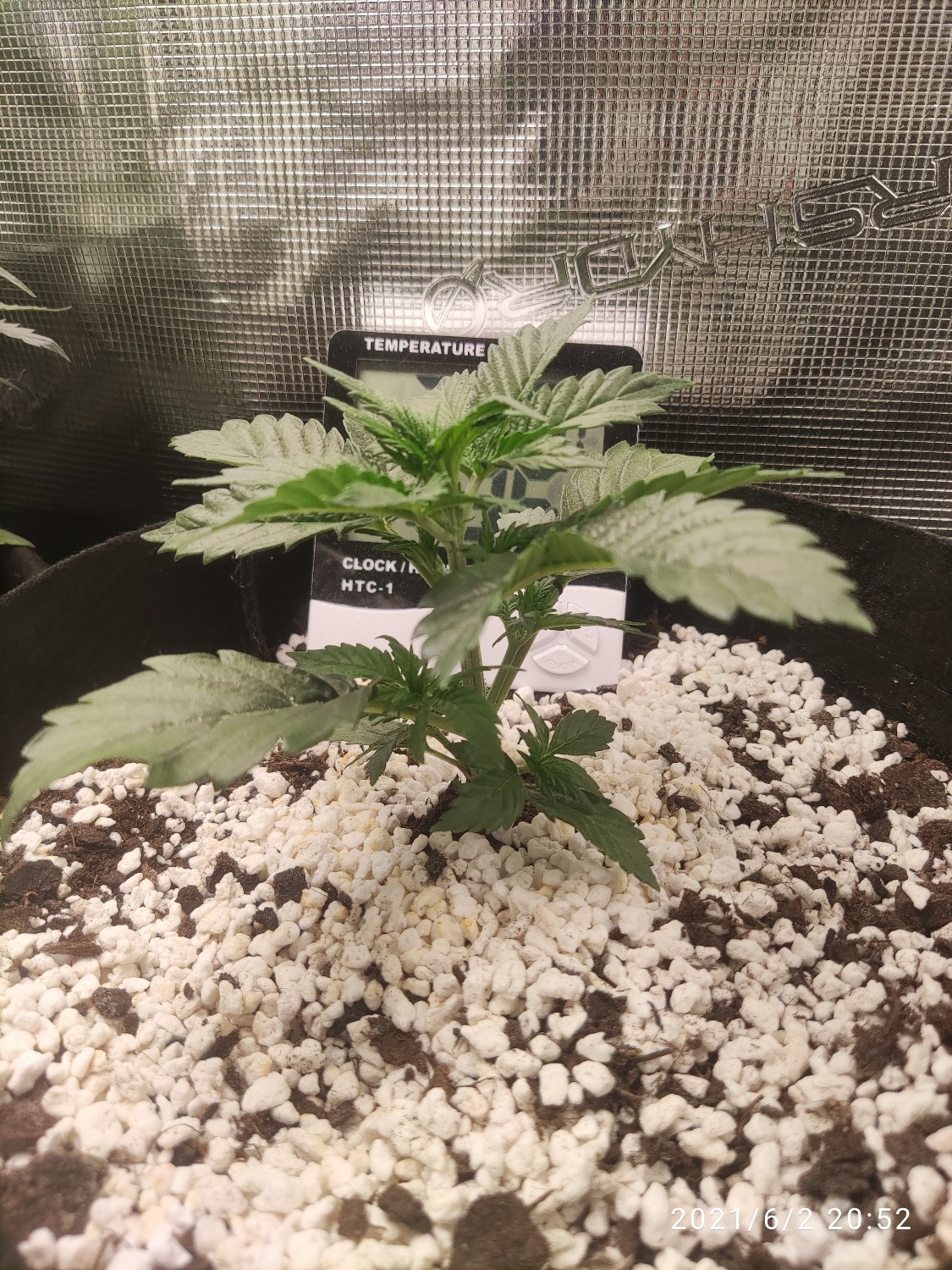 1622656991831.jpg