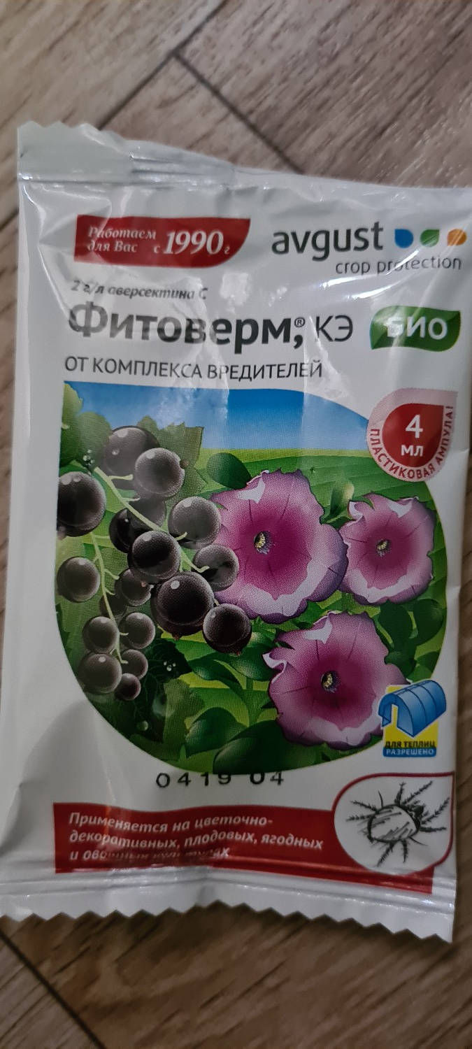 1626442400801.jpg