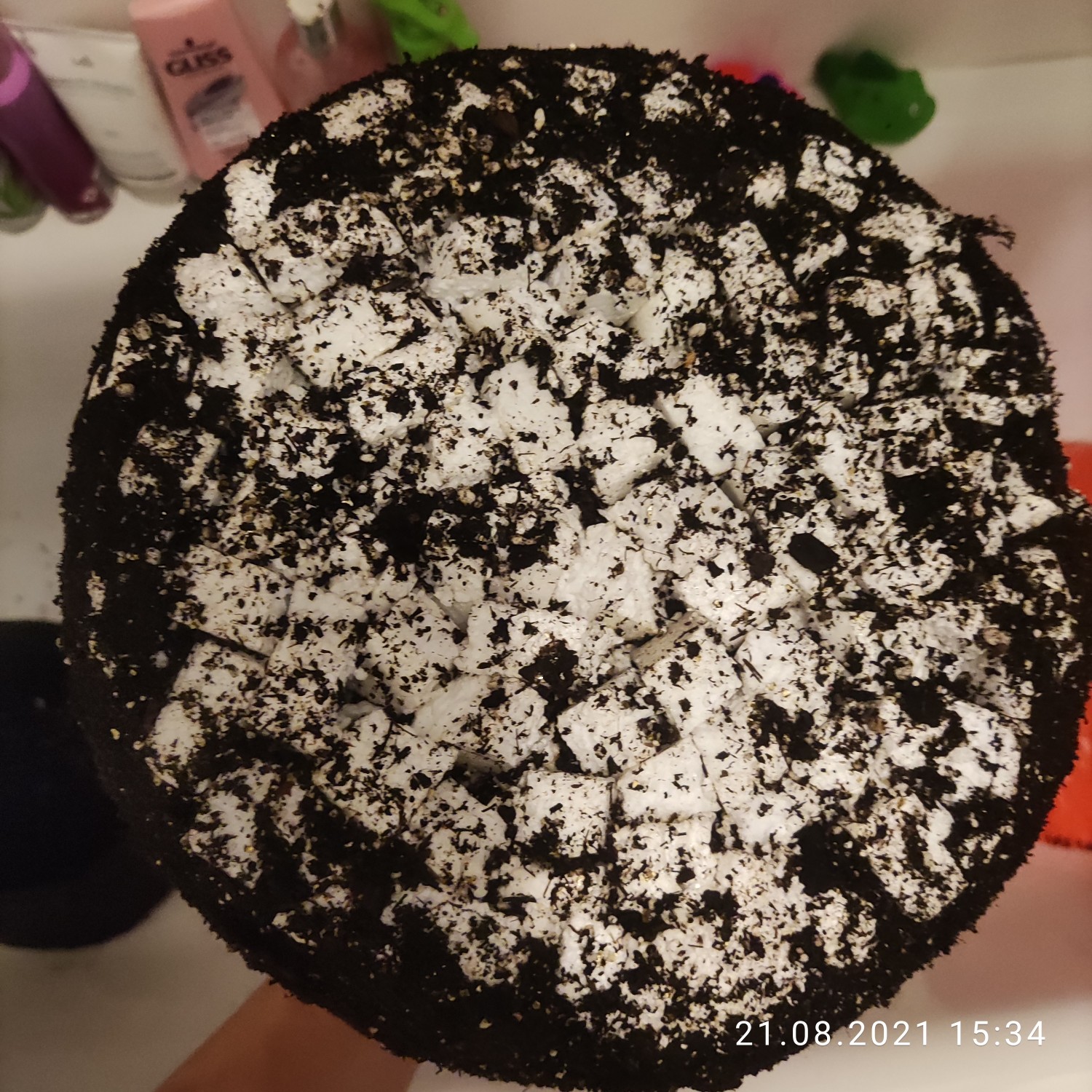 1629563190037.jpg