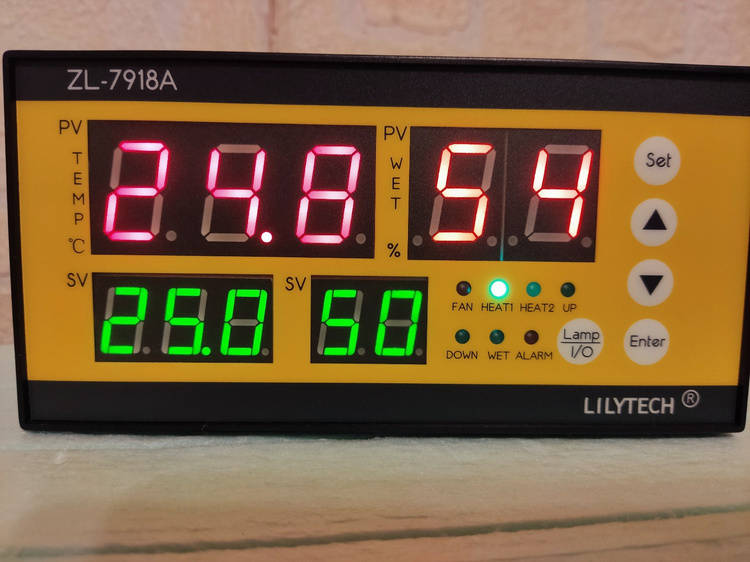 1629576308900.jpg