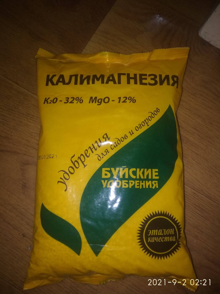 1630542098899.jpg