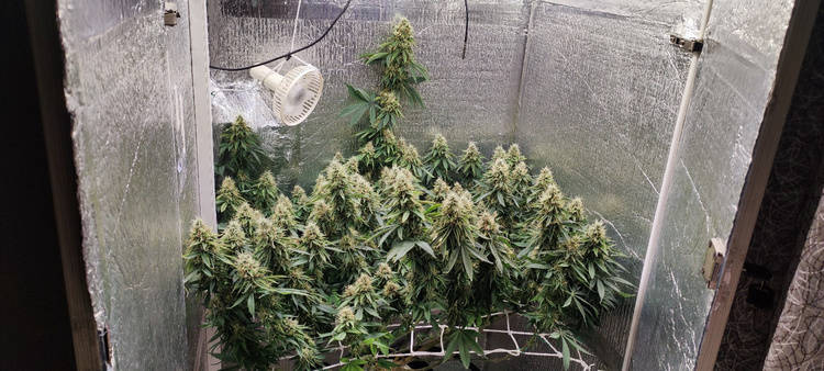 1639069941985.jpg