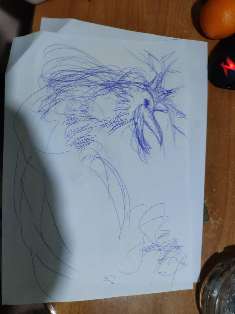 1645215830249.jpg
