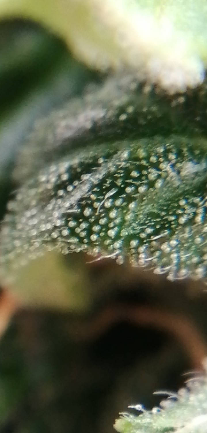 1649502595377.jpg