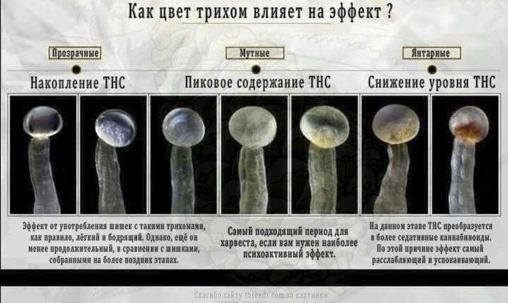 1679499183164.jpg