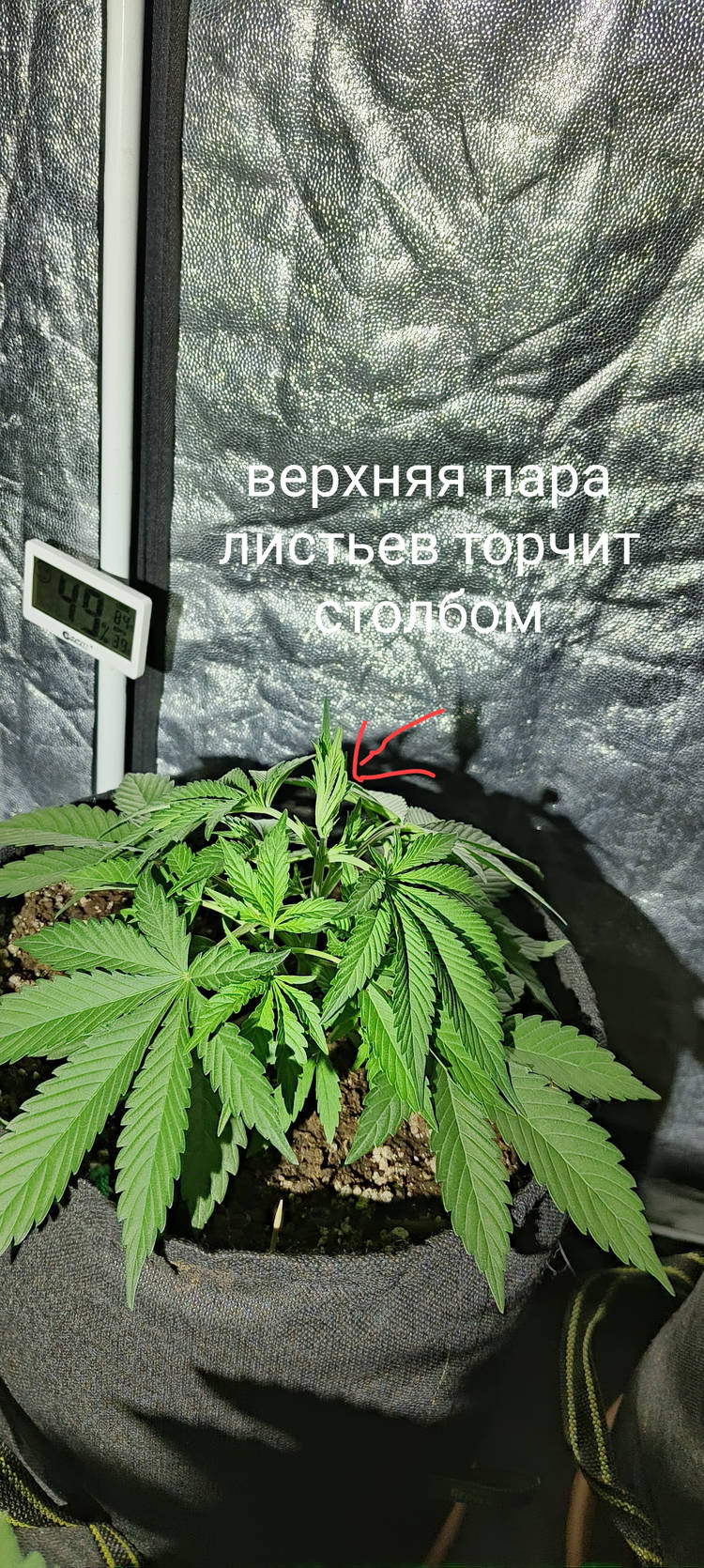 IMG_20240116_184029.jpg