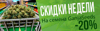 320-100-08-02-24.jpg