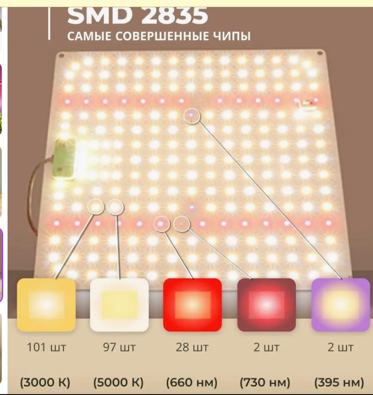 Безымянныйd.png