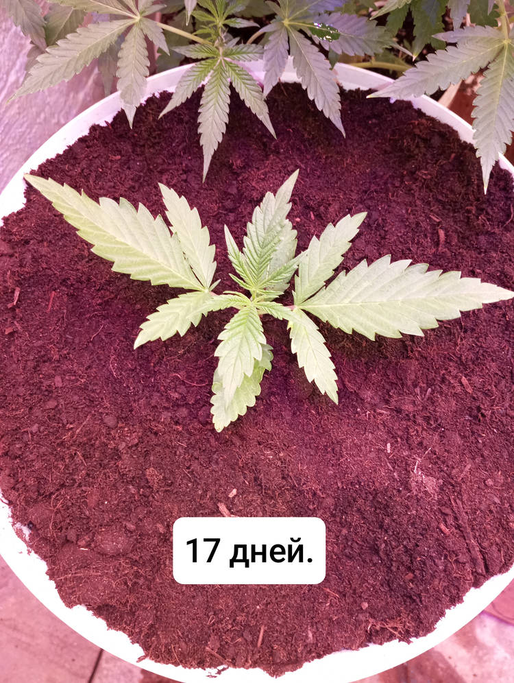 1000010424.jpg