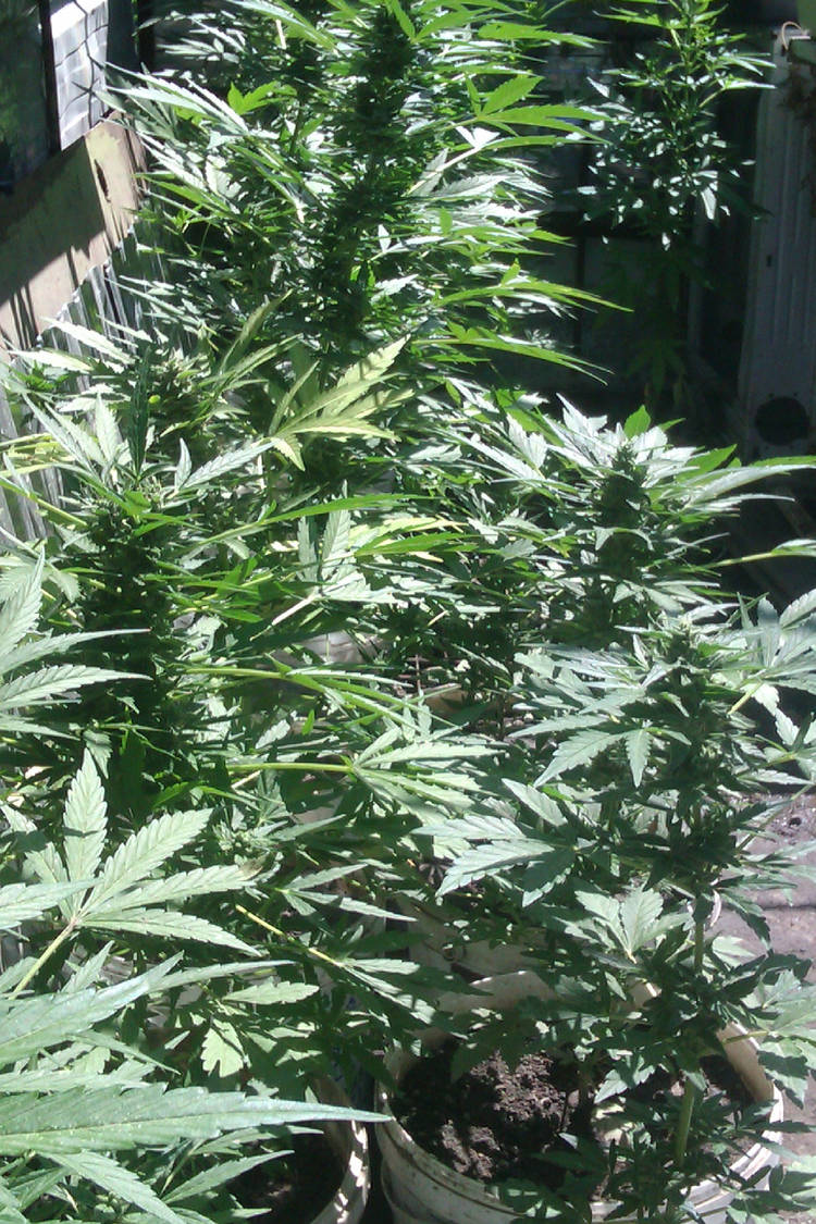 IMAG0616.jpg