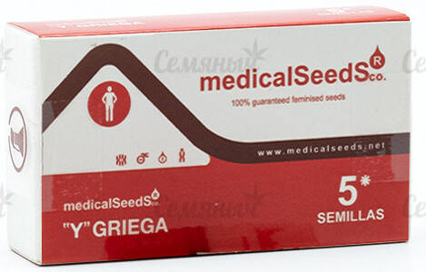 Y-Griega-fem-Medical-Seeds-main__yetFa8DjlgDNYGZf (1).jpg