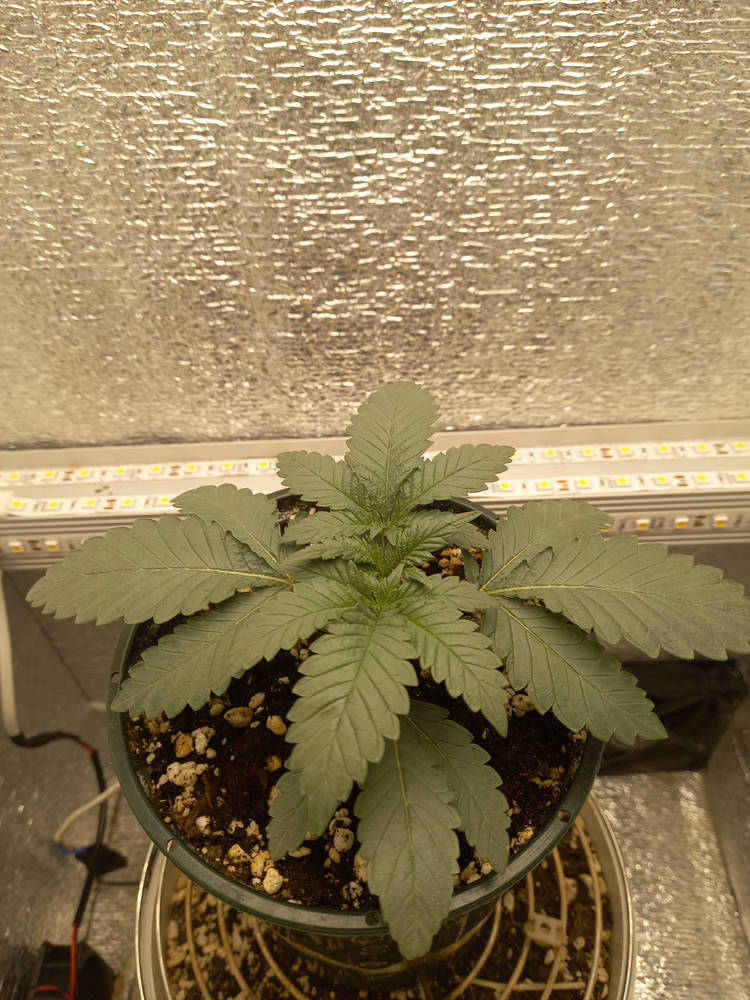 20240328_201207.jpg