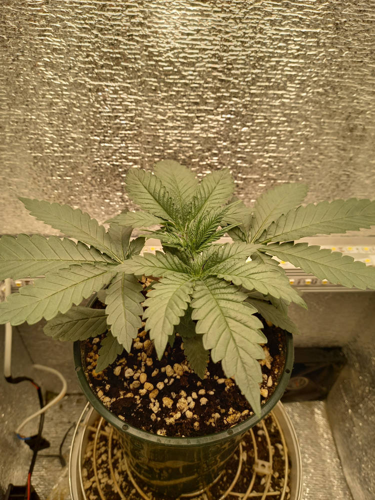 20240331_200716.jpg