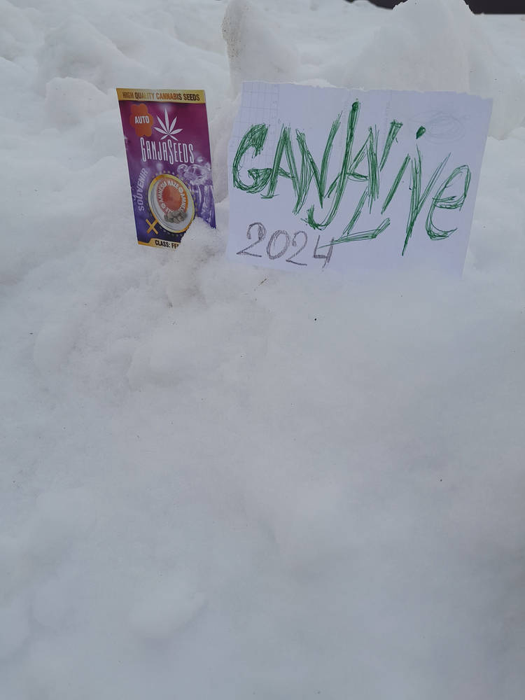 20240302_161109.jpg