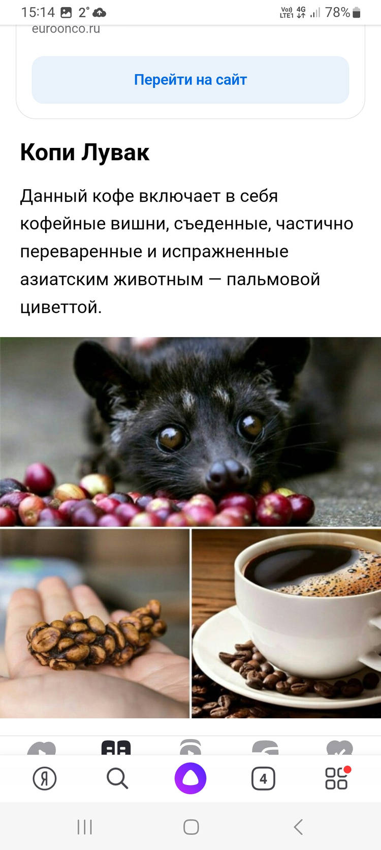 Screenshot_20240209_151412_Yandex.jpg