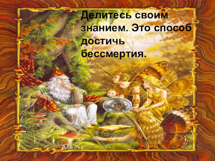 8a78595a8f8e7aad5cd73a21ffc86361-800x — копия.jpg