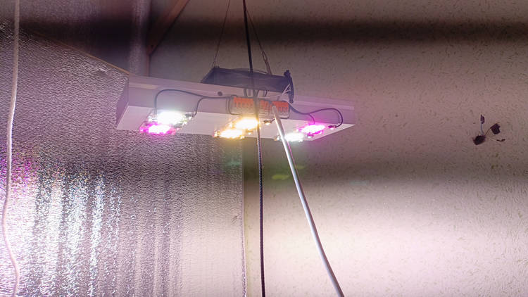 IMG-20240510-WA0023.jpeg
