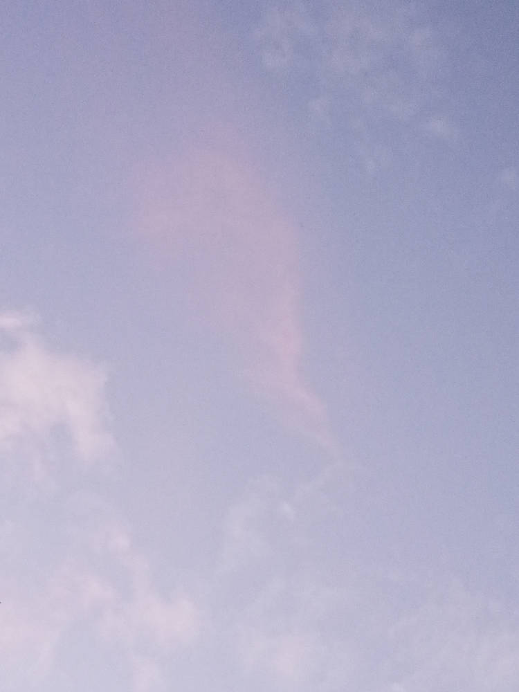IMG_20240531_210515_252.jpg