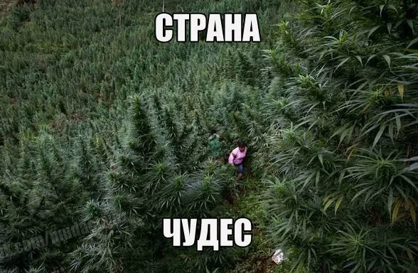 Opera Снимок_2024-07-12_134229_yandex.kz.png