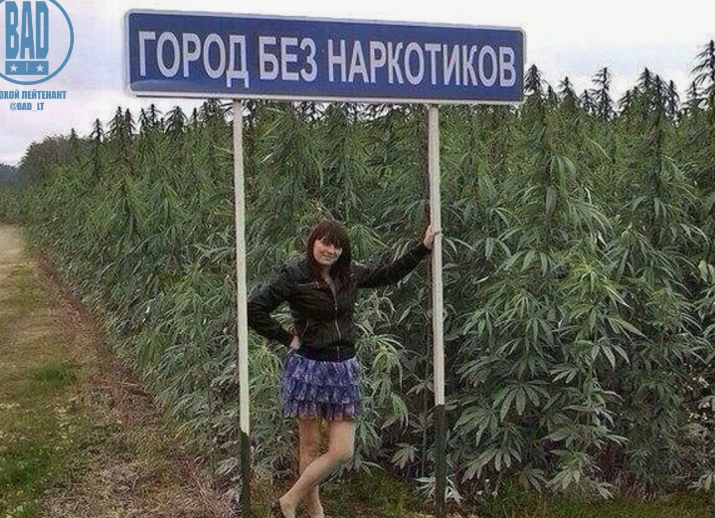 Opera Снимок_2024-07-12_134415_yandex.kz.png