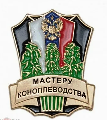Opera Снимок_2024-07-14_114249_yandex.kz.png