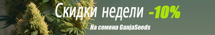 820-137-13-08-24.jpg