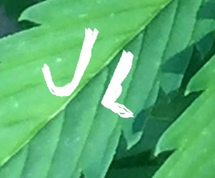Screenshot_28.jpg