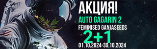 320-100-01-10-24-g.jpg