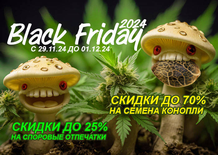 700x500_RU (6).jpg