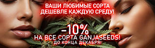 320x100-18-12-24_ru.jpg
