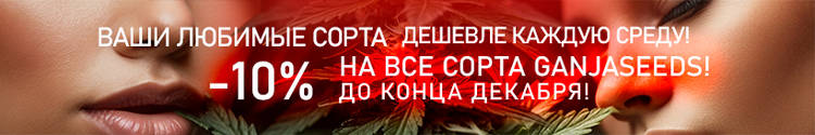 820x137-18-12-24_ru.jpg