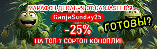 320x100-15-12-24_ru1.jpg