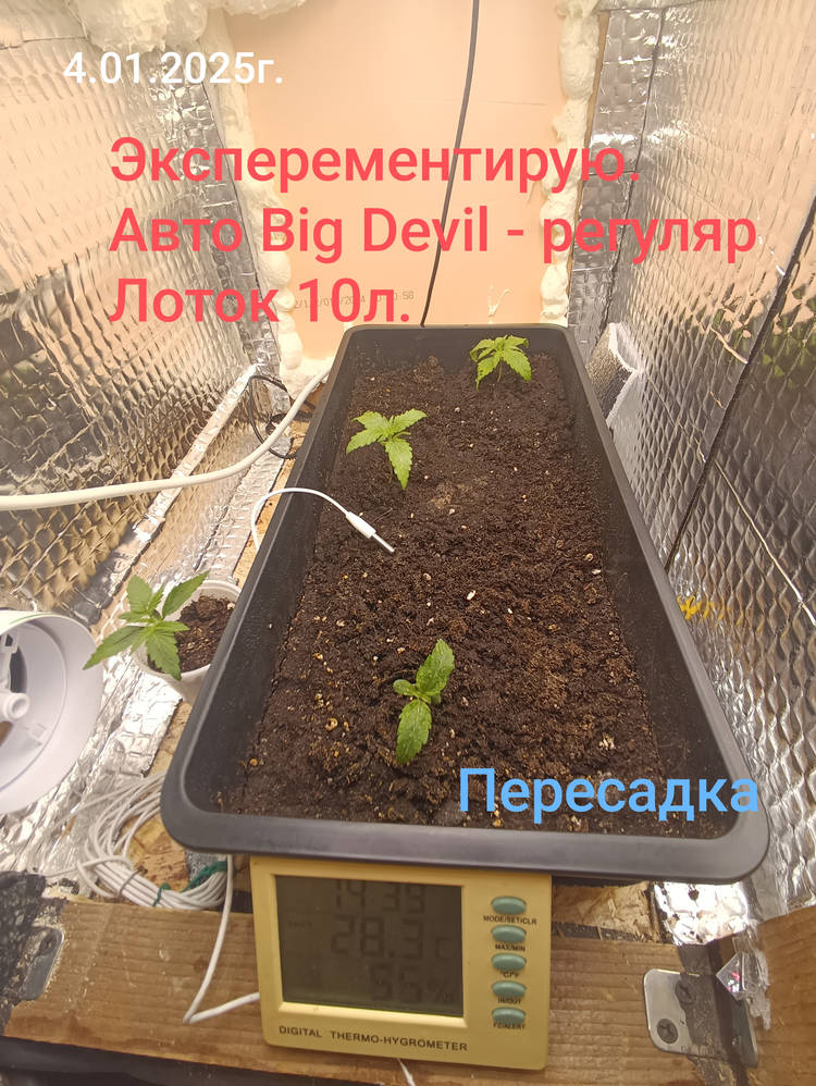 IMG_20250104_152024.jpg