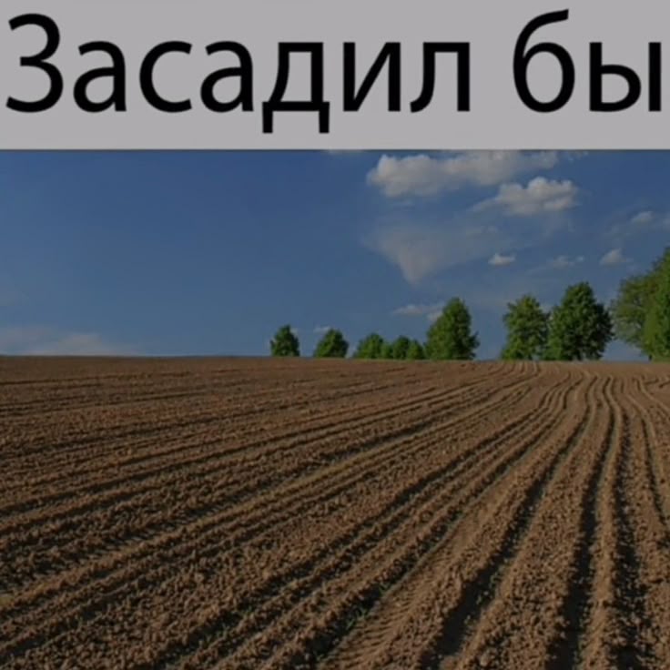 1000122399.jpg