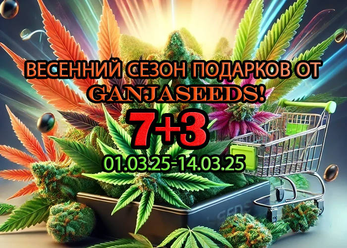 700-500-27-02-25 rus.jpg