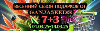 320-100-27-02-25 rus.jpg