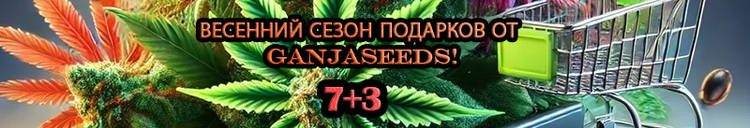 800-137-27-02-25 rus.jpg