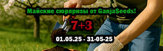 320-100-25-04-25.jpg