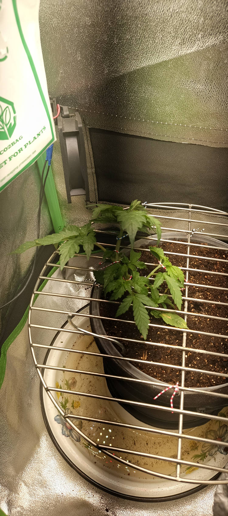 IMG_20250517_105446_660.jpg
