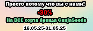 300-100-16-05-25.jpg