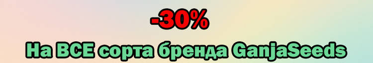 800-137-16-05-25.jpg